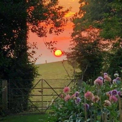 新世纪棋牌app下载