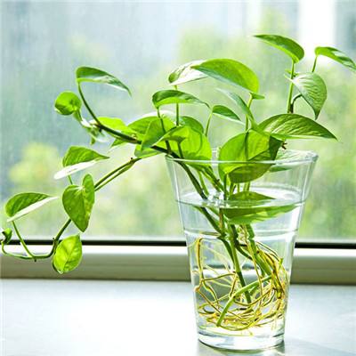 新万博全站app最新版app下载