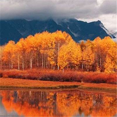 新万博全站app最新版app下载